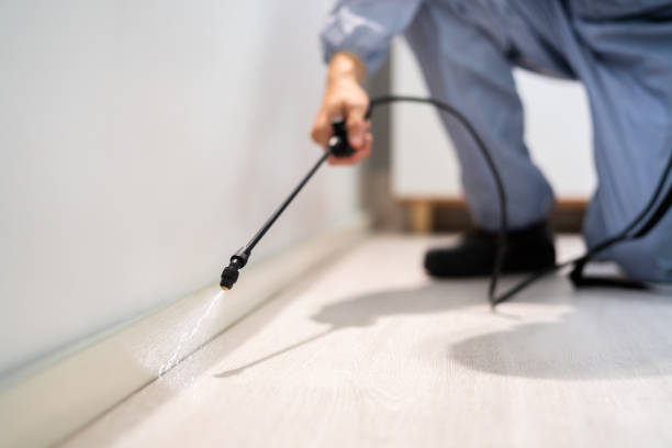 Licensed Pest Control service in Helena West Side, MT - Show Me Pest Control